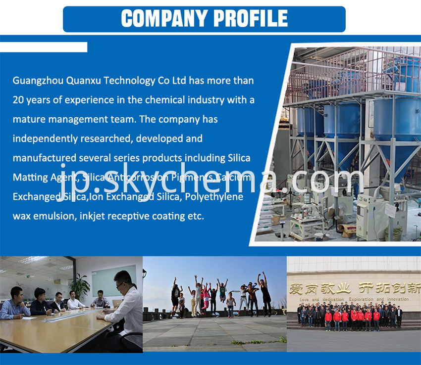 Company Profile